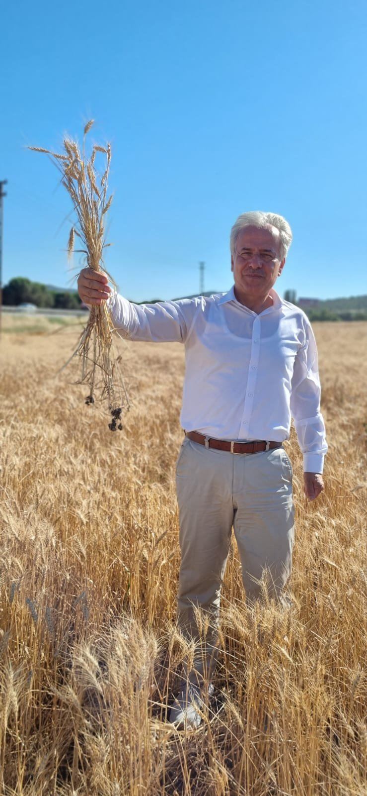 ATA TOHUMU ÜRETİMİ BELEDİYE BAŞKANLIĞI ÖNCÜLÜĞÜNDE DEVAM EDİYOR