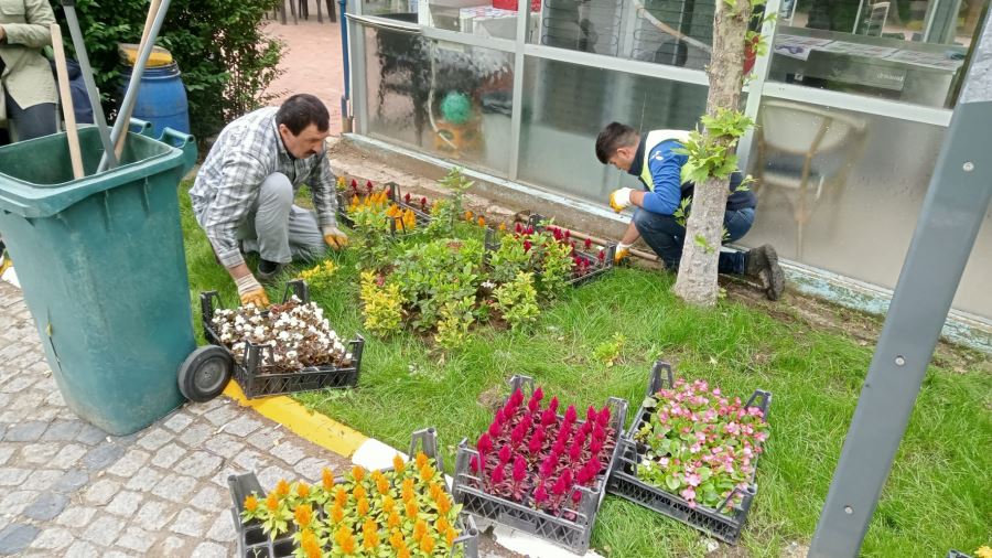 SUSURLUK BELEDİYESİ PARK VE BAHÇELER EKİPLERİ ÇALIŞMALARINA DEVAM EDİYOR