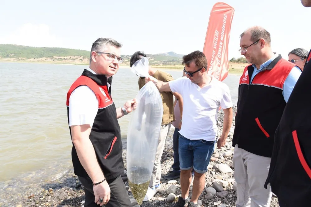 GÜRECE GÖLETİNE 10 BİN ADET SAZAN BALIĞI YAVRUSU SALINDI