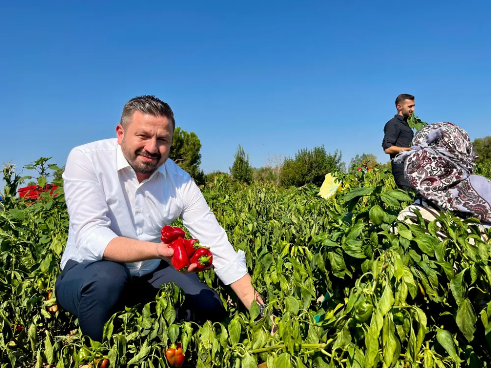 AK PARTİ İL BAŞKANI MEHMET AYDEMİR ÇİFTÇİLERE MÜJDE VERDİ