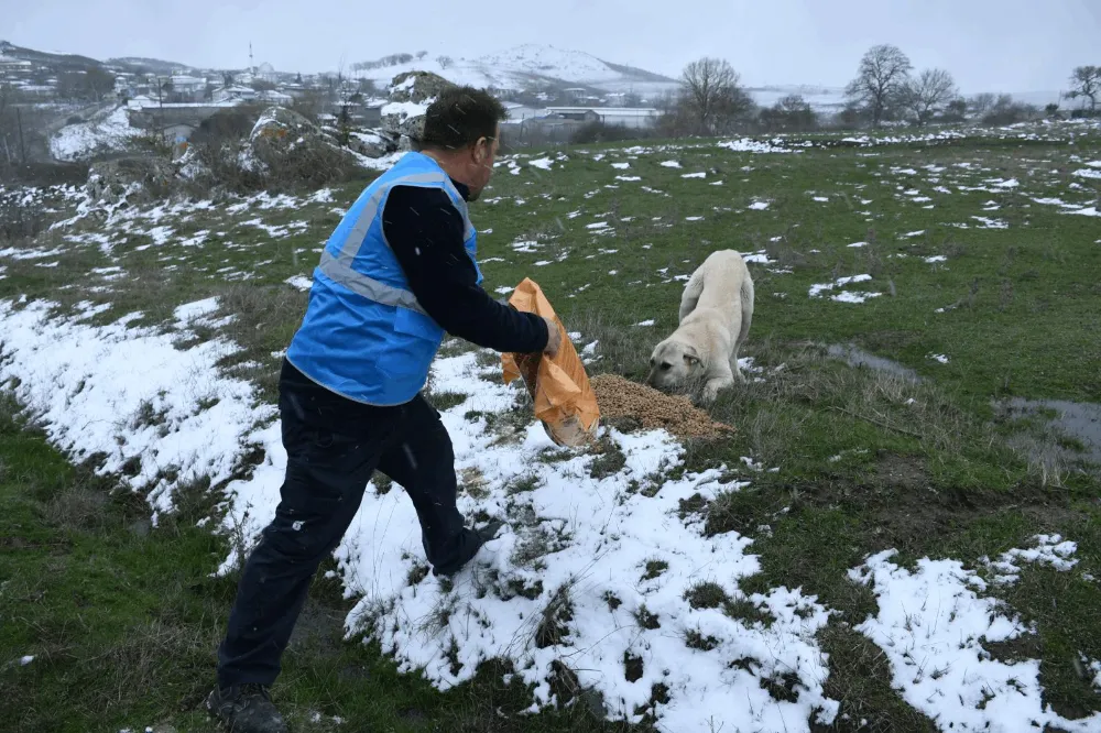 BÜYÜKŞEHİR HER KOŞULDA CAN DOSTLARIN YANINDA