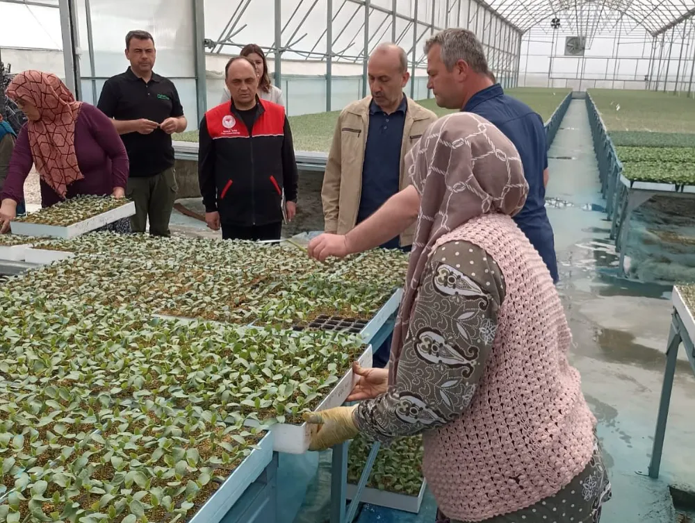 BALIKESİR İL TARIM VE ORMAN MÜDÜRÜ DÜZGÜN