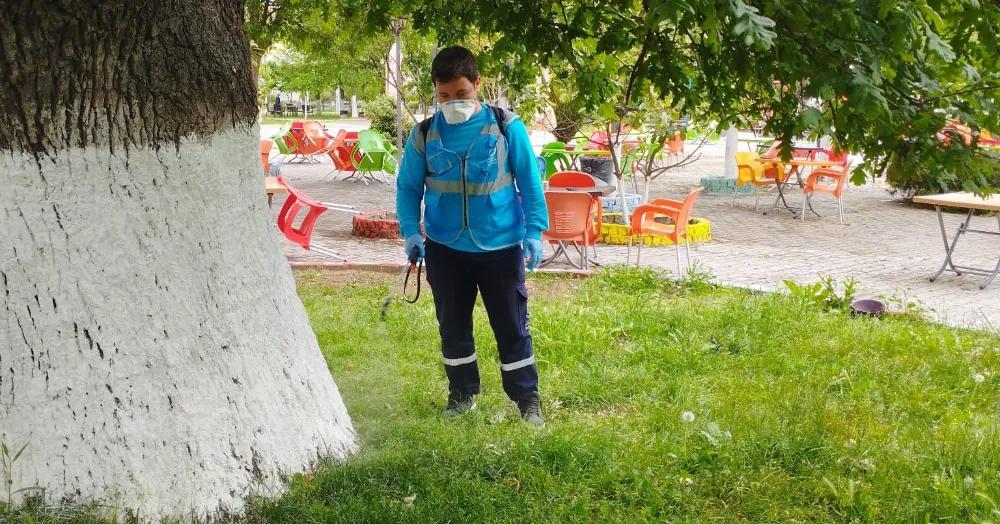  EKİPLER HAŞERE  İLAÇLAMA  ÇALIŞMALARINA  DEVAM EDİYOR
